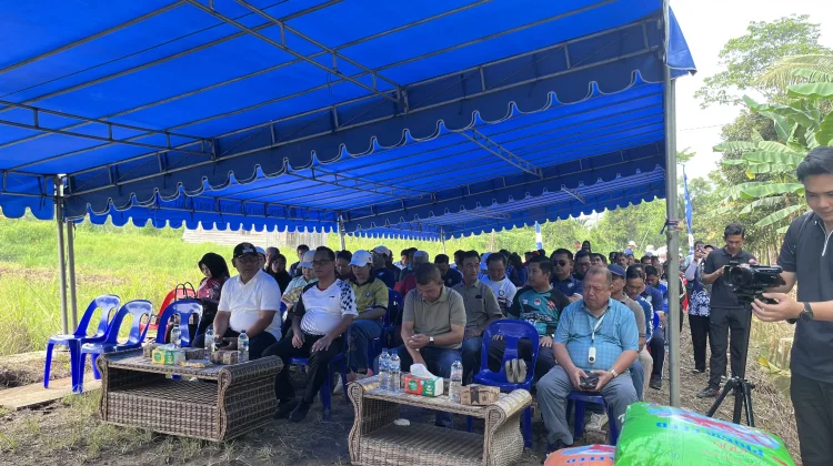 Pemkab Malinau Serahkan Bantuan Benih dan Gelar Panen Perdana Musim Tebar III