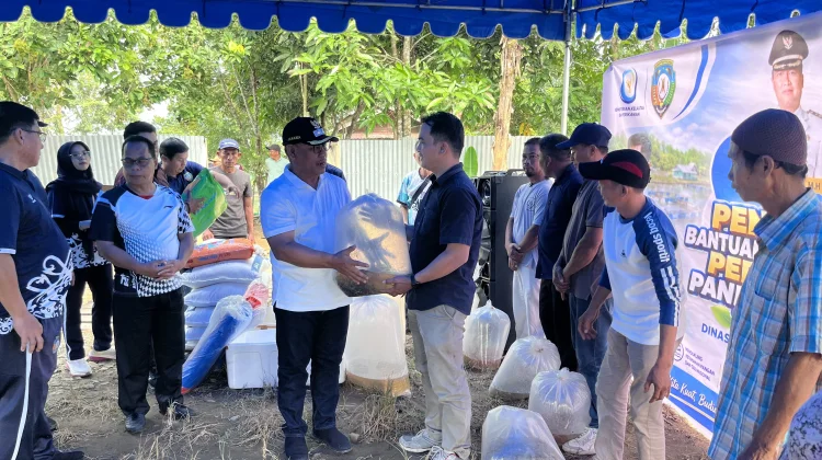 Pemkab Malinau Serahkan Bantuan Benih dan Gelar Panen Perdana Musim Tebar III