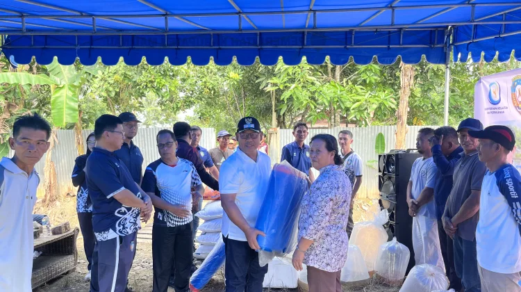 Pemkab Malinau Serahkan Bantuan Benih dan Gelar Panen Perdana Musim Tebar III