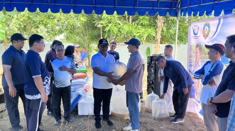 Pemkab Malinau Serahkan Bantuan Benih dan Gelar Panen Perdana Musim Tebar III