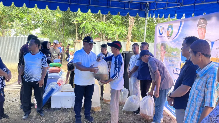 Pemkab Malinau Serahkan Bantuan Benih dan Gelar Panen Perdana Musim Tebar III