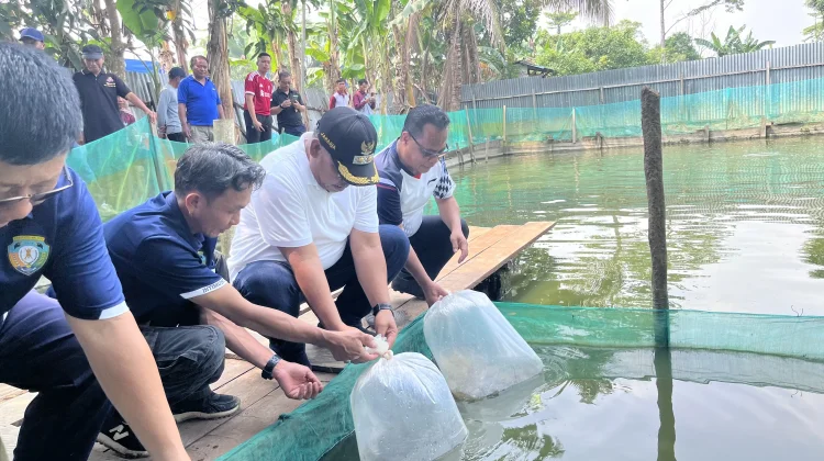 Pemkab Malinau Serahkan Bantuan Benih dan Gelar Panen Perdana Musim Tebar III