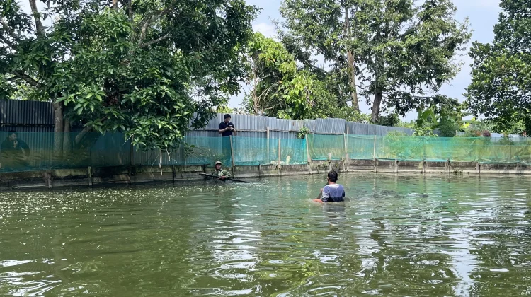 Pemkab Malinau Serahkan Bantuan Benih dan Gelar Panen Perdana Musim Tebar III