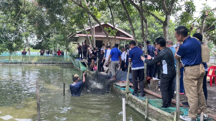 Pemkab Malinau Serahkan Bantuan Benih dan Gelar Panen Perdana Musim Tebar III