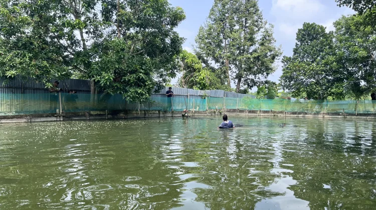 Pemkab Malinau Serahkan Bantuan Benih dan Gelar Panen Perdana Musim Tebar III