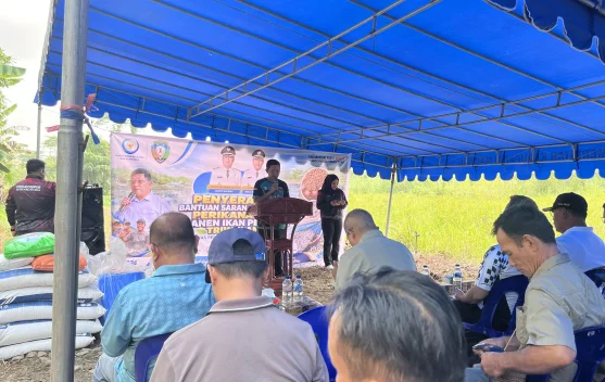 Pemkab Malinau Serahkan Bantuan Benih dan Gelar Panen Perdana Musim Tebar III
