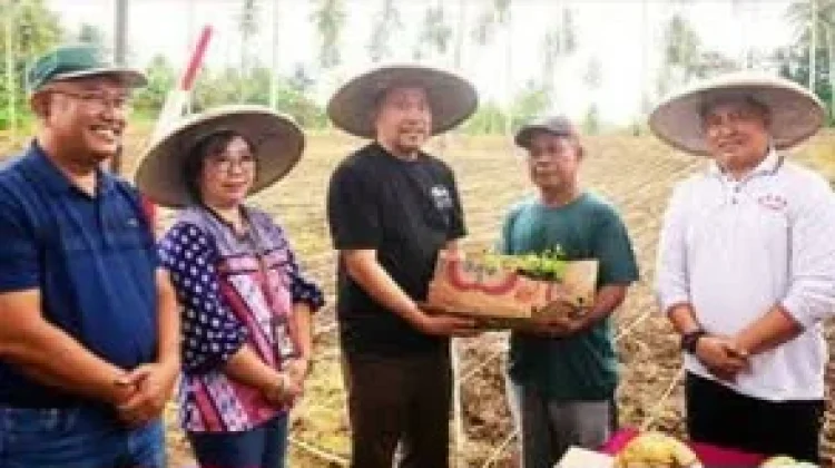 Moment Penanaman Jagung di Manado
