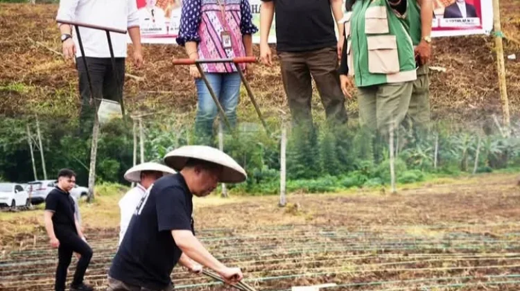 Moment Penanaman Jagung di Manado