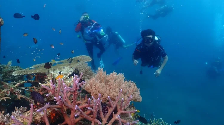 Kodaeral VIII dan POSSI Sulut Ajak Media Eksplor Bawah Laut Malalayang
