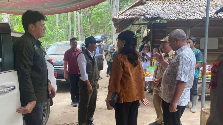 Sinergi Pusat dan Daerah, Menhut Tinjau Pelestarian Hutan di Desa Temboan