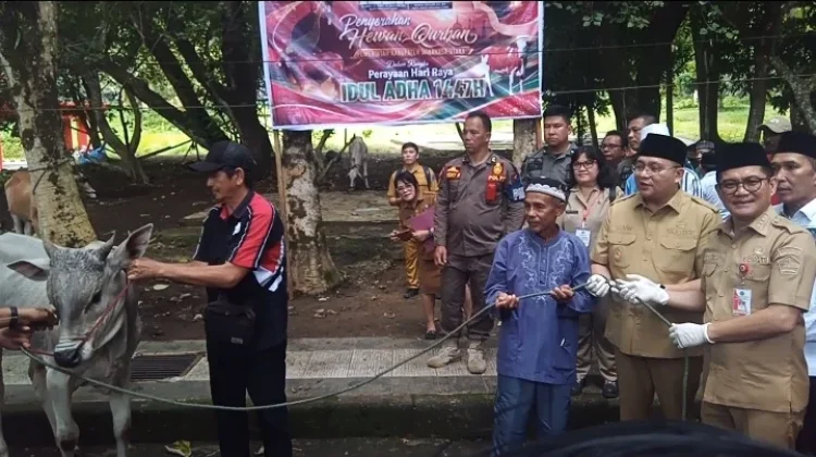 Bantuan Hewan Kurban Pemkab Minut di Hari Iduladha 2026