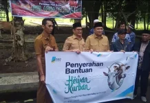 Bantuan Hewan Kurban Pemkab Minut di Hari Iduladha 2026