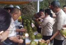 Reboisasi dan Minum Air Kelapa Muda Warnai Kunker DPR RI di Minut