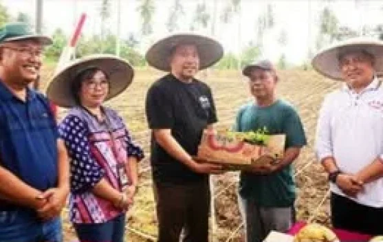 Moment Penanaman Jagung di Manado