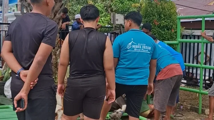 Idul Adha 1447 H, Semangat Gotong Royong Warga Warnai Prosesi Penyembelihan Hewan