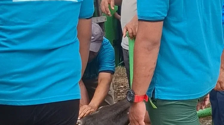Idul Adha 1447 H, Semangat Gotong Royong Warga Warnai Prosesi Penyembelihan Hewan