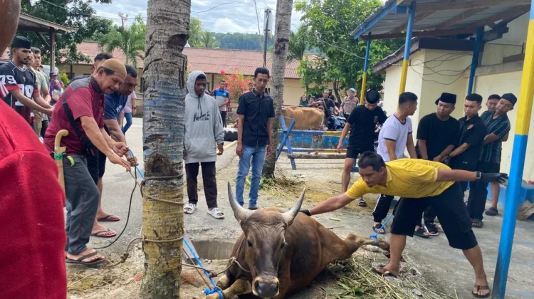 Polresta Manokwari pada Iduladha 1447  berbagi dengan warga masyarakat