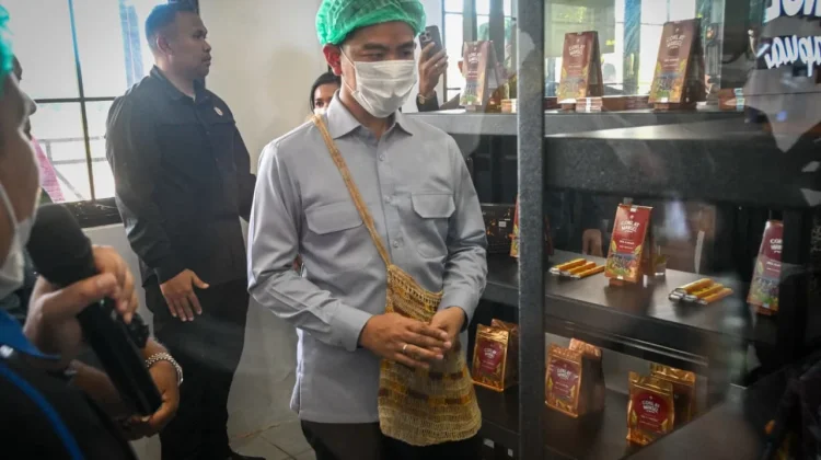 Potensi Kakao Mansel Dapat Perhatian Khusus dari Wakil Presiden
