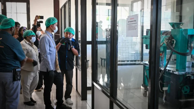 Potensi Kakao Mansel Dapat Perhatian Khusus dari Wakil Presiden