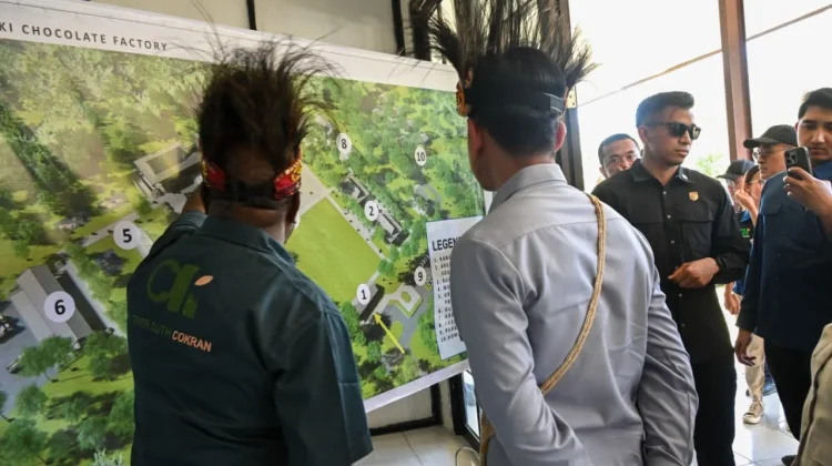 Potensi Kakao Mansel Dapat Perhatian Khusus dari Wakil Presiden
