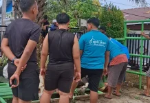 Idul Adha 1447 H, Semangat Gotong Royong Warga Warnai Prosesi Penyembelihan Hewan