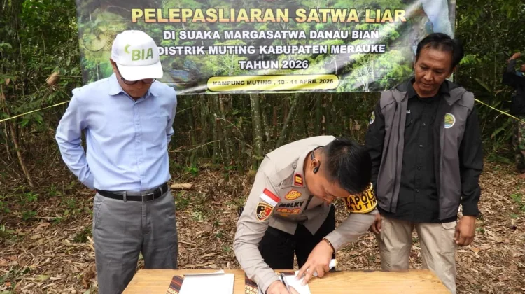 Polsek Muting dan KSDA Lepasliarkan Satwa Dilindungi