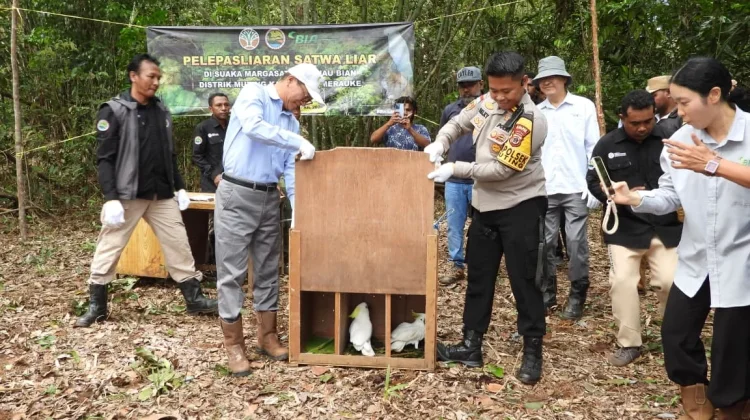 Polsek Muting dan KSDA Lepasliarkan Satwa Dilindungi