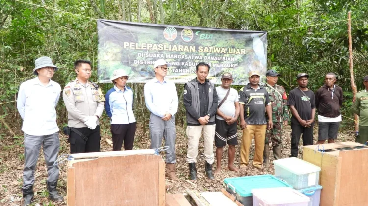 Polsek Muting dan KSDA Lepasliarkan Satwa Dilindungi
