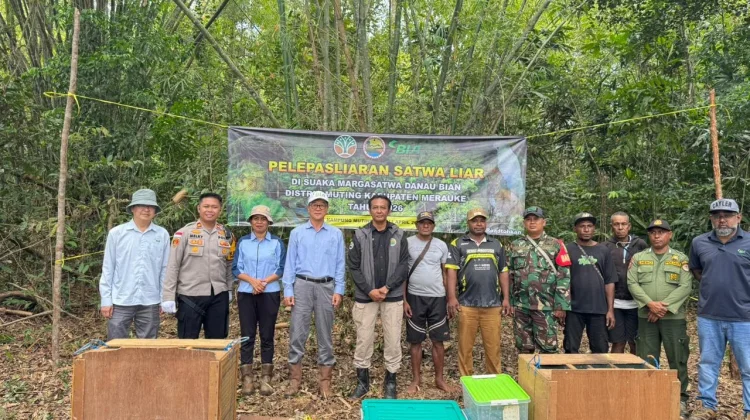 Polsek Muting dan KSDA Lepasliarkan Satwa Dilindungi