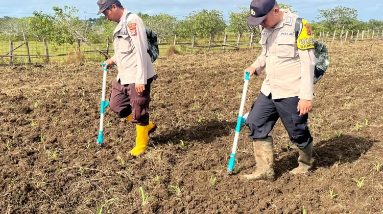 Polsek Jagebob Dukung Ketahanan Pangan, Bantu Pupuk Jagung