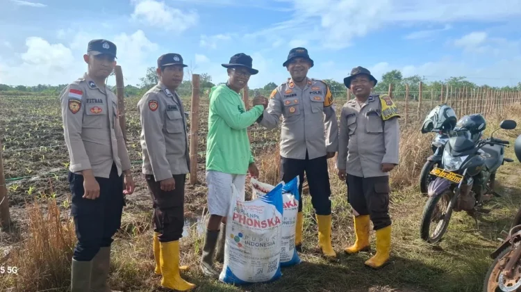 Polsek Jagebob Dukung Ketahanan Pangan, Bantu Pupuk Jagung
