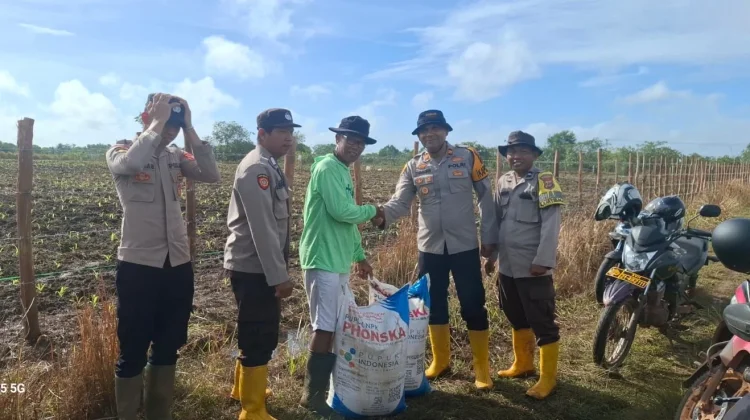 Polsek Jagebob Dukung Ketahanan Pangan, Bantu Pupuk Jagung