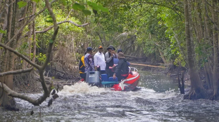 Gubernur Apolo Safanpo Tinjau Jembatan Rubuh di Tomerau