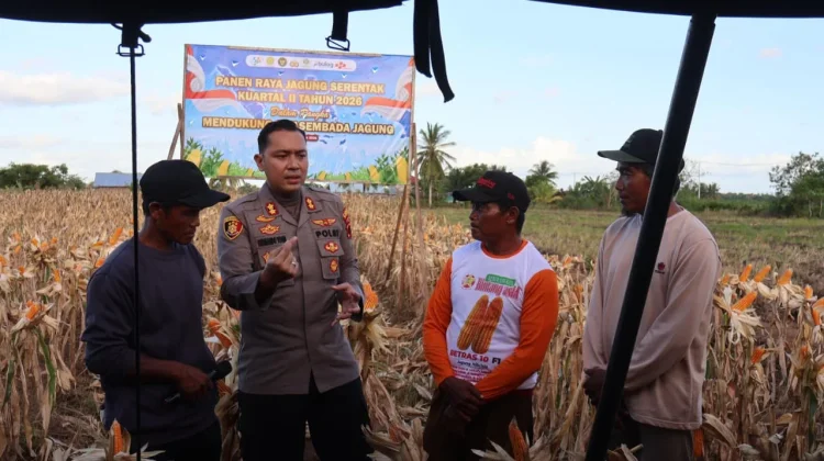 Polres Merauke Panen Raya Jagung Kuartal II