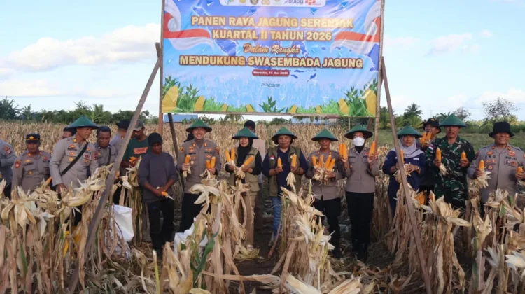 Polres Merauke Panen Raya Jagung Kuartal II