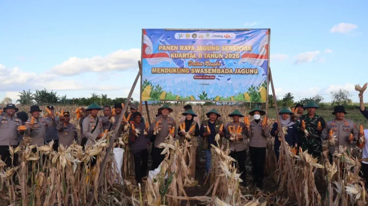 Polres Merauke Panen Raya Jagung Kuartal II