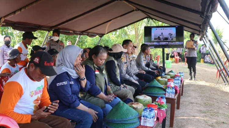 Polres Merauke Panen Raya Jagung Kuartal II