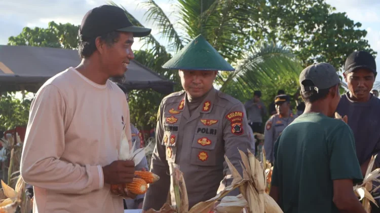 Polres Merauke Panen Raya Jagung Kuartal II