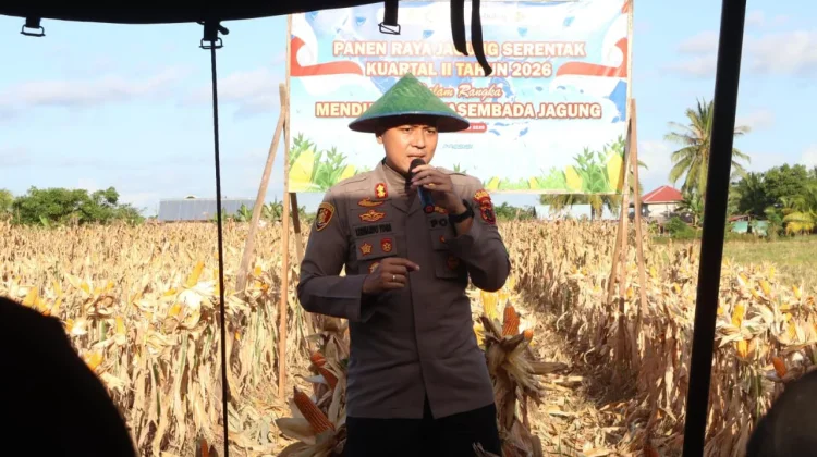 Polres Merauke Panen Raya Jagung Kuartal II