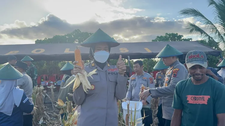 Polres Merauke Panen Raya Jagung Kuartal II