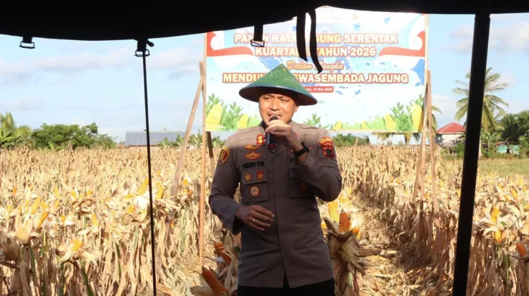 Polres Merauke Panen Raya Jagung Kuartal II