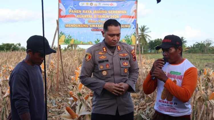 Polres Merauke Panen Raya Jagung Kuartal II