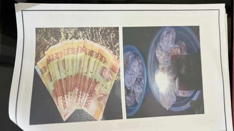 Polres Merauke Bekuk Sepuluh Pencuri Sapi