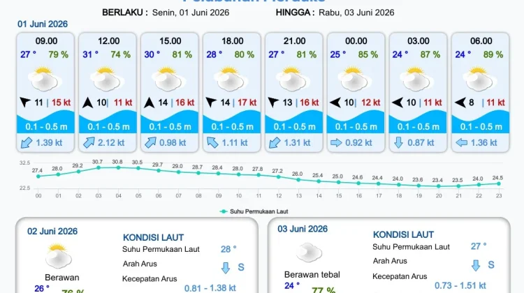 Terbaru, Prakiraan Cuaca Pelabuhan di Papua Selatan