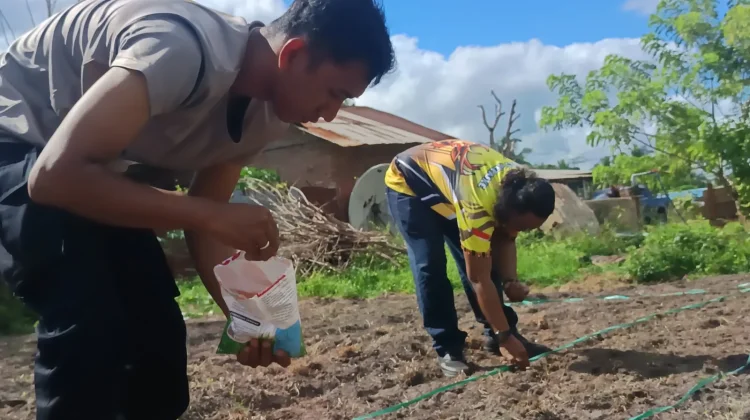 Polisi Turun Tanam Jagung Ketahanan Pangan