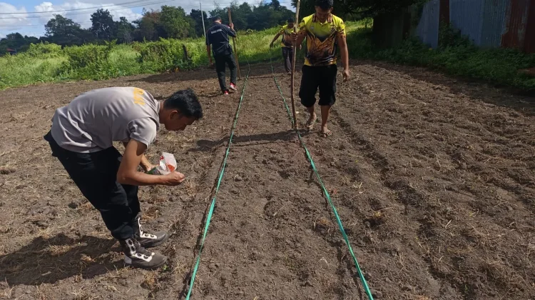Polisi Turun Tanam Jagung Ketahanan Pangan