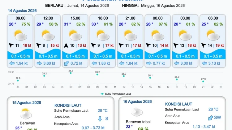 Terbaru Informasi Prakiraan Cuaca Pelabuhan Papua Selatan