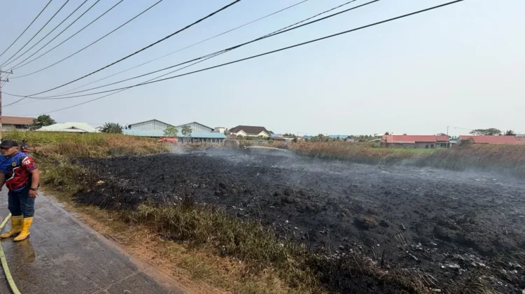 Karhutla di Merauke Sempat Ancam Permukiman Warga