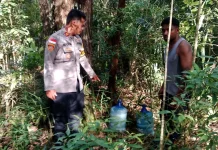 Razia Miras di Kampung Tof-Tof