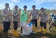 Polsek Jagebob Dukung Ketahanan Pangan, Bantu Pupuk Jagung